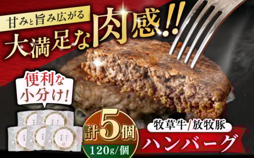 【牧草牛×放牧豚】ハンバーグ 5個 《厚真町》【GOODGOOD株式会社】 ハンバーグ 牛肉 豚肉 ジビエ 小分け 冷凍配送 北海道 [AXBP006]