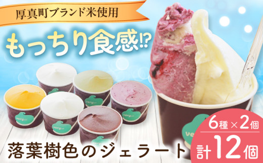 very motch 米粉のジェラート6種×2セット 《厚真町》【株式会社クーバル】ジェラート アイス セット アソート 食べ比べ 米粉 詰め合わせ スイーツ ギフト 北海道 19000 19000円 [AXBQ007]