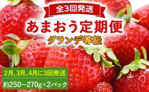 【2026年発送先行予約】あまおう2パック×3回発送定期便 (2月、3月、4月発送) 定期便 約250～270g×2パック いちご フルーツ 果物 あまおう 苺 イチゴ 福岡【発送時期2026年2月、3月、4月】