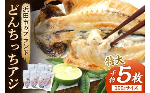 浜田市のブランド「どんちっちアジ」干物特大（200gサイズ）5枚個包装 魚介類 干物 干もの 開き あじ 厳選 海鮮 セット 個包装【019_1952】