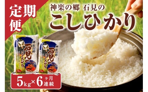 【令和7年産】【数量限定】【定期便】神楽の郷 石見のこしひかり （5kg×6回コース）定期便 こしひかり お取り寄せ 特産品 お米 精米 白米 玄米 米 ごはん ご飯 コメ 一等米【058_1839】