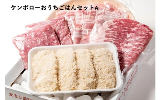 【年内配送】おうちごはんセットA（しゃぶしゃぶ、トンカツ、生姜焼き、豚ミンチセット） 【002_1972】