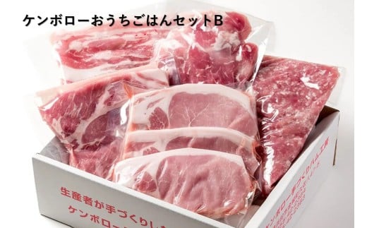 【年内配送】おうちごはんセットB（ステーキ２種、スライス肉、豚ミンチセット） 【002_1973】