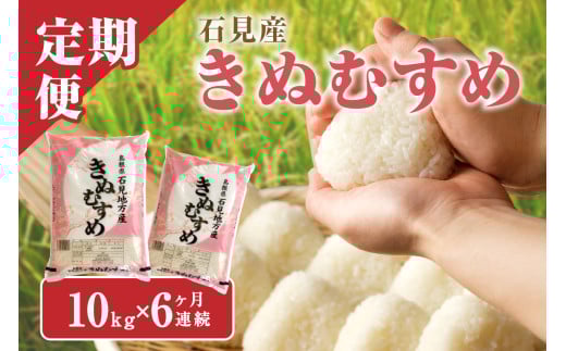【令和7年産】【新米先行予約】【定期便】石見産きぬむすめ　6ヶ月（10ｋｇ×6回コース）〈2025年11月より配送開始〉 米 お米 精米 白米 玄米 ごはん お取り寄せ 特産 定期 6回 新米 【058_1837】