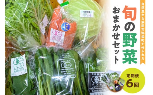 自然豊かな浜田市弥栄町で作られた「旬の野菜おまかせセット」(6回コース) 野菜 定期 6回 旬 詰め合わせ おまかせ 直送 野菜セット セット 【109_1348】