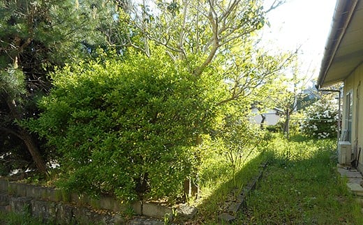 空き家見守りサービス 見守り 見守りサービス 空き家 代行 年2回 島根県 浜田市 【134_1522】