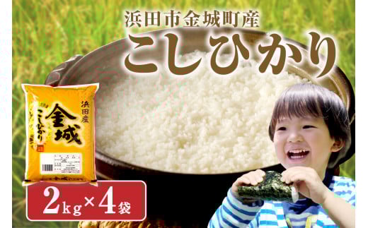 【年内配送】【令和7年産】浜田市金城町産「こしひかり」（２ｋｇ×４袋） 米 お米 精米 白米 玄米 ごはん お取り寄せ 特産 一等米 こしひかり 米専用箱入り 【058_1813】