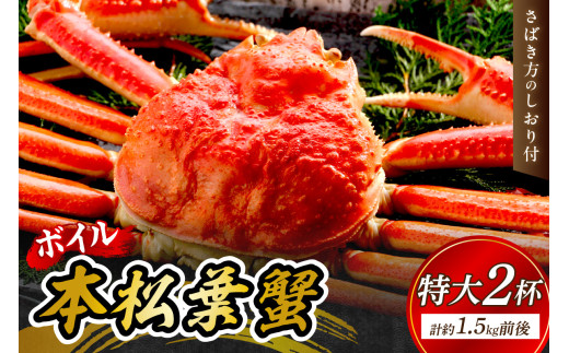 【 国産日本海の松葉蟹をボイルでお届け! 】【先行予約】ボイルでお届け。ボイル本松葉蟹 特大2杯(タグ付き)Cセット<12月10日~2月末までのお届け> 国産 カニ 魚介類 海の幸 年内配送 年末年始配送 【097_0729】