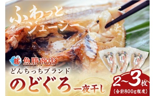 大きな「のどぐろ一夜干し（2～3枚）」 魚介類 魚貝類 魚 のどぐろ アカムツ 干物 干もの 一夜干し のどぐろ一夜干し 【136_1995】