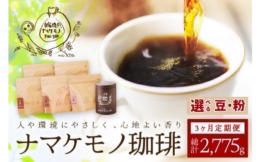 スローな浜田で焙煎をした珈琲（925g×3回の定期便）＜粉でのお届け＞【023_1912】