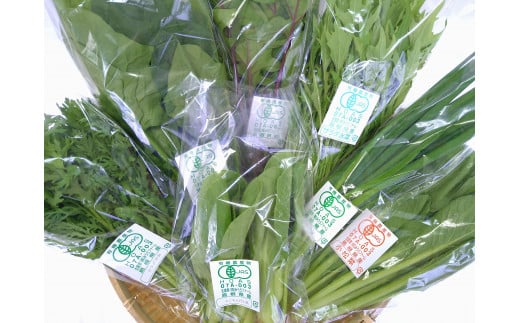 みうらファームが選んだ 旬の有機野菜厳選8品セット 野菜 有機野菜 セット 厳選 8品 旬 有機JAS認証 詰め合わせ 産地直送 【109_1351】