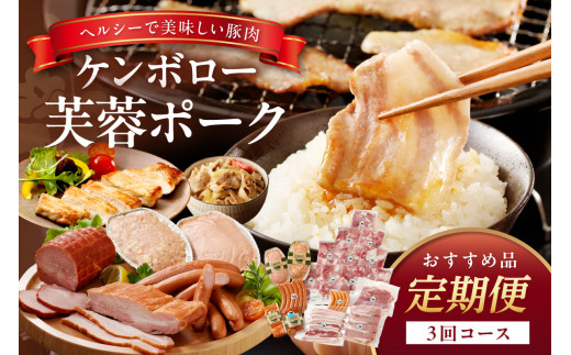 【3か月定期便】ケンボロー芙蓉ポーク おすすめ品3回コース 定期便 3回 豚肉 加工品 ハム ベーコン ウインナー 焼肉 BBQ バーベキュー 島根ポーク 真空パック グルメ 食品 【002_1967】