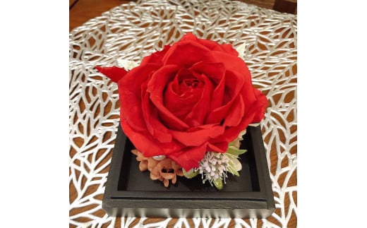 浜田産の大輪のバラのプリザーブドフラワーアレンジ「一輪」 花 プリザーブドフラワー アーティシャルフラワー フラワーアレンジ 薔薇 アジサイ 贈り物 ギフト インテリア 【107_1823】