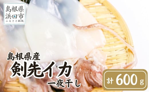 島根県産剣先イカ一夜干し 計600g(4~6枚)個包装・真空袋・ギフト 真空 個包装 訳あり 干物 白イカ 保存料不使用 大容量 剣先イカ 一夜干し ギフト 贈り物【005_0119】