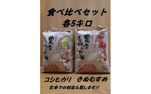 【新米先行予約】【令和7年度産】旭町産コシヒカリ・きぬむすめ 食べ比べセット 各5キロ＜2025年10月末より発送予定＞ 米 お米 こしひかり きぬむすめ 食べ比べ セット 農家直送 精米 白米 【166_1762】
