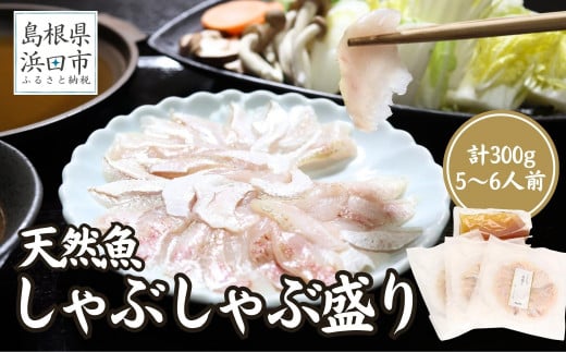 天然魚しゃぶしゃぶ盛り 300g 5～6人前 産地直送・旬・おまかせ鮮魚 魚介類 魚 天然魚 しゃぶしゃぶ 鍋 刺身 産地直送 旬 小分け セット 【005_0121】