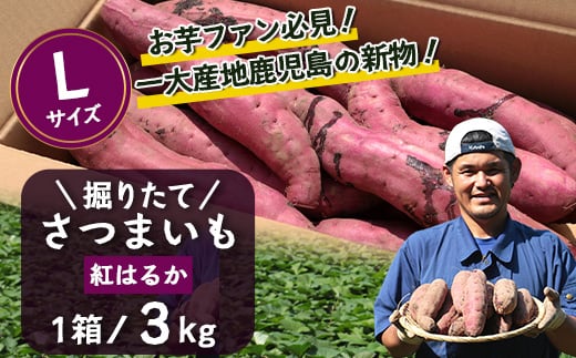 [先行予約・2025年9月下旬より順次発送]鹿児島県産 掘りたて 紅はるか 3kg (1箱 )Lサイズ| さつまいも サツマイモ 焼き芋 べにはるか おやつ 煮物 芋ごはん 味噌汁 鹿児島県 南大隅町 株式会社フォレスト 掘り立て(AX72215)