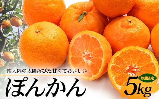 【先行予約】南大隅の太陽浴びた甘くて・おいしい ぽんかん 5kg【2026年1月中旬以降順次発送】 ID-1 |ぽんかん ポンカン 柑橘 カンキツ 柑橘類 詰め合わせ 甘い 果物 新鮮 産地 直送 先行予約 おすすめ 人気 南大隅町