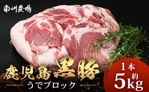 【南大隅町限定】かごしま黒豚 うでブロック(約5.0kg) NS-4 | 肉 豚肉 ぶた 豚 ブタ 黒豚 かごしま黒豚 うで ブロック 新鮮 産地直送 限定 鹿児島県 南大隅町 南州農場