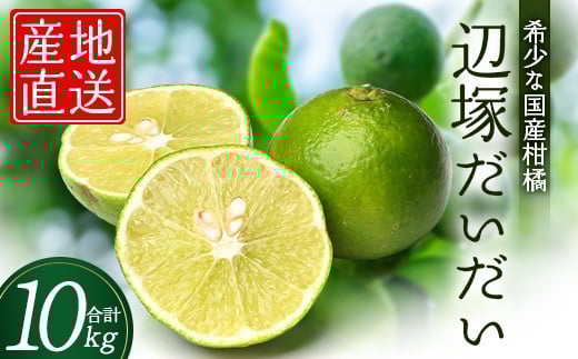 辺塚だいだい 約10kg NK-3|果物 柑橘 辺塚だいだい へつか 産地直送 詰め合わせ 10kg 国産 新鮮 おすすめ 人気 南大隅町