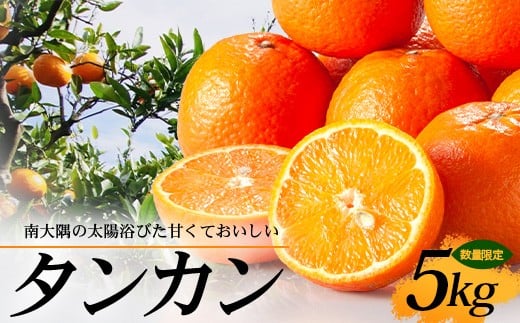 【先行予約・数量限定】南大隅の太陽浴びた甘くて・おいしい タンカン 5kg【2026年2月中旬以降順次発送】 AL7506|たんかん タンカン 柑橘 甘い 果物 新鮮 産地 直送 先行予約 おすすめ 人気 南大隅町