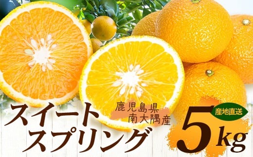 【数量限定】鹿児島県南大隅産スイートスプリング 5kg 【2025年12月下旬より順次発送】 AL7510 |柑橘 くだもの 果物 フルーツ スイートスプリング 食品 人気 おすすめ 南大隅 新鮮 産地直送 爽やか 数量限定