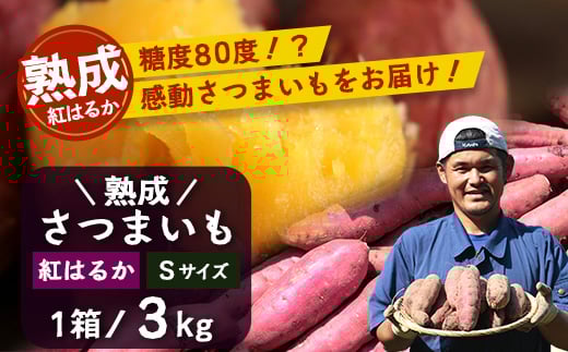 [先行予約・2025年11月下旬より順次発送]鹿児島県産 熟成 紅はるか 3kg (1箱 ) Sサイズ (おすそ分け袋/美味しい焼き芋の焼き方 説明書付き) | さつまいも サツマイモ 焼き芋 べにはるか おやつ 煮物 芋ごはん 味噌汁 鹿児島県 南大隅町 株式会社フォレスト(AX72211)