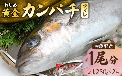 [配送日指定可能]鹿児島 ねじめ黄金カンパチ フィレ 1尾(約1,250g×2枚)冷蔵便 JF-506| 魚 直送 養殖 根占 さかな 身が引き締まった かんぱち 漁師 刺身 寿司 しゃぶしゃぶ ぷりぷり食感 鹿児島県 南大隅町 ねじめ漁業協同組合
