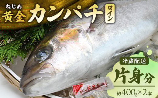 [配送日指定可能]鹿児島 ねじめ黄金カンパチ ロイン 片身分(約400g×2本)冷蔵便 JF-507 | 魚 直送 養殖 根占 さかな 身が引き締まった かんぱち 漁師 刺身 寿司 しゃぶしゃぶ ぷりぷり食感 鹿児島県 南大隅町 ねじめ漁業協同組合