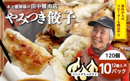 《リピーター続出!》佐多の田中肉屋 ニンニクたっぷりやみつき餃子 120個(12個入り×10パック) 餃子のタレ付き TA-402 | ぎょうざ 餃子 ギョウザ 豚肉 ひき肉 にんにく スタミナ餃子 焼くだけ 簡単 小分け 大容量 手作り お惣菜 おかず 冷凍 鹿児島県 南大隅町 田中精肉店