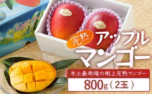 【先行予約】 ☆本土最南端☆佐多の果樹園で育てた 完熟アップルマンゴー 800g ( 2玉 ) 【2026年7月上旬以降順次発送】 ST-406 |鹿児島県 南大隅 産地直送 旬 マンゴー フルーツ 果物 くだもの アップルマンゴー 詰め合わせ セット 数量限定