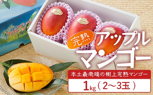 ≪先行予約・数量限定≫☆本土最南端☆佐多の果樹園で育てた 完熟アップルマンゴー 1kg (2~3玉) 【2026年7月上旬以降順次発送】 V7407 |鹿児島県 南大隅 産地直送 旬 マンゴー フルーツ 果物 くだもの