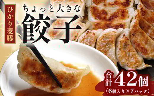 鹿児島県産 ひかり麦豚 \\ちょっと大きな  餃子 42個セット// HM-707 | ぎょうざ ギョウザ 食べ応え抜群 焼き餃子 水餃子 おかず お弁当 冷凍 産地直送 鹿児島県 南大隅町 ひかり麦豚直売所