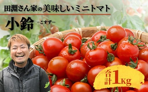 田淵さんちの美味しい ミニトマト 小鈴(約1kg)GP-708|野菜 トマト ミニトマト 産地直送 ミニトマト 新鮮 トマト 南大隅町産 ミニトマト おいしい ミニトマト