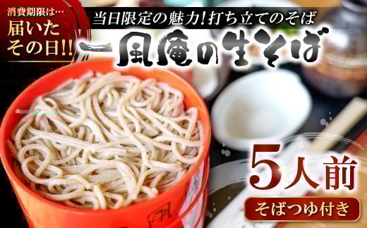 自家製粉手打ち生そば 5人前[生そば 5人前 そばつゆ付き セット 蕎麦 玄そば 出雲そば そば 国産 無添加 手打ち 打ち立て 冷蔵配送 自家製 石臼挽き こだわり 人気 生麺 麺類 和食 食品 健康 美容 季節限定]