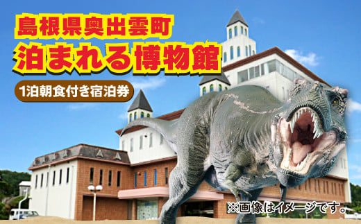 泊まれる博物館「1泊朝食付き宿泊券」1名様【宿泊券 宿泊 旅行券 温泉 観光 旅行 旅 1食付き 朝食付き 1名様 恐竜 博物館 天然温泉 入浴券 温泉 トラベル 体験 チケット 島根県 奥出雲町】
