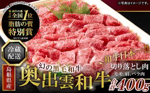 全国大会W受賞!奥出雲和牛切り落し400g(みんなで美味しいを楽しむ!奥出雲和牛) 【 切り落とし 牛肉 黒毛和牛 奥出雲和牛 切り落し 切落し きりおとし 冷蔵 400g 】