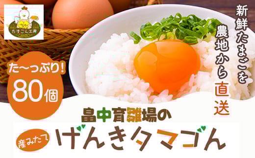 畠中育雛場のげんきタマゴん 80個 《30日以内に出荷予定(土日祝除く)》福岡県 鞍手郡 小竹町 卵 送料無料 有限会社畠中育雛場