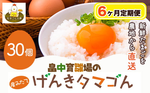 【6ヶ月定期便】畠中育雛場のげんきタマゴん 30個 6回お届けで計180個!《お申込み月の翌月から出荷開始》福岡県 鞍手郡 小竹町 卵 送料無料 有限会社畠中育雛場