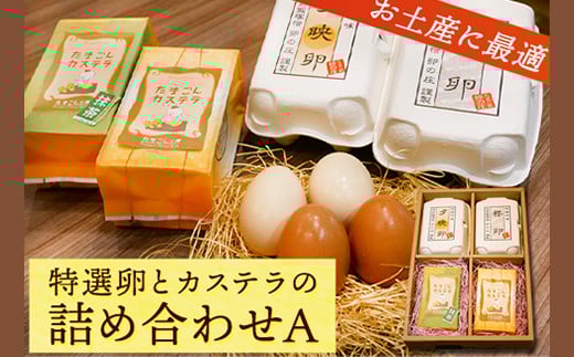 特選卵とカステラの詰め合わせA 《30日以内に出荷予定(土日祝除く)》福岡県 鞍手郡 小竹町 卵 カステラ かすてら 詰め合わせ 送料無料 有限会社畠中育雛場
