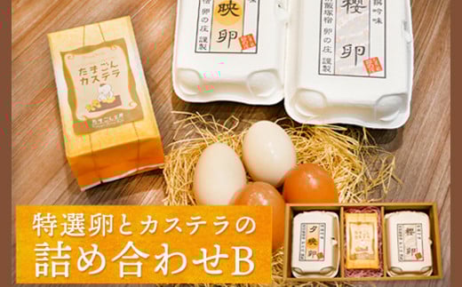 特選卵とカステラの詰め合わせB《30日以内に出荷予定(土日祝除く)》福岡県 鞍手郡 小竹町 卵 カステラ かすてら 詰め合わせ 送料無料 有限会社畠中育雛場