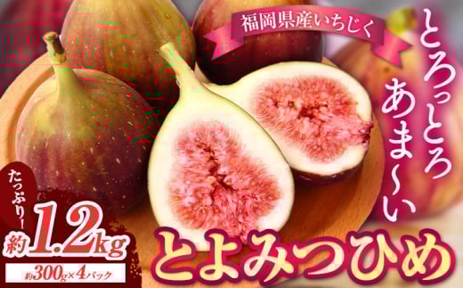 【☆2026年出荷☆】 いちじく 福岡県産 ブランド いちじく とよみつひめ 約1.2kg (約300g×4パック) 【配送不可地域あり】【着日指定不可】 《8月中旬-9月末頃出荷(土日祝除く)》 福岡県 鞍手郡 小竹町 いちじく イチジク 果物 フルーツ 送料無料