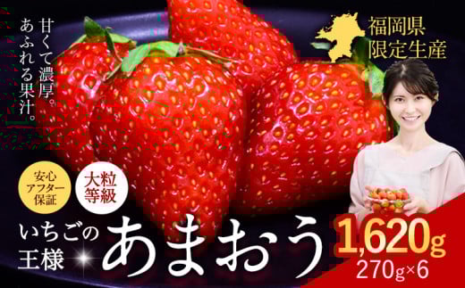 ★2026年出荷分★【先行予約】いちご あまおう 1620g (約270g×6パック) 苺 送料無料 【着日指定不可】《2月中旬-4月末頃出荷予定》 イチゴ 果物 フルーツ 福岡県 鞍手郡 小竹町
