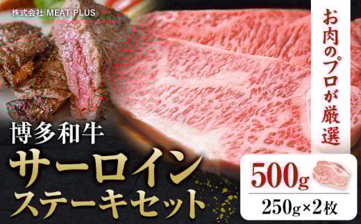 博多和牛サーロインステーキセット 500g 250g×2枚 株式会社MEAT PLUS《30日以内に出荷予定(土日祝除く)》福岡県 鞍手郡 小竹町 博多和牛 和牛 牛肉 サーロイン ステーキ サーロインステーキ