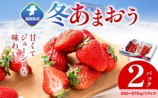 福岡県産 冬あまおう 2パック 南国フルーツ株式会社《12月上旬-1月末頃出荷》福岡県 小竹町 あまおう いちご イチゴ 送料無料【配送不可地域あり】