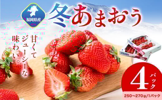 福岡県産 冬あまおう 4パック 南国フルーツ株式会社《12月上旬-1月末頃出荷》福岡県 小竹町 あまおう いちご イチゴ 送料無料【配送不可地域あり】