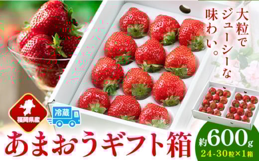 福岡県産 あまおう ギフト箱 約600g 南国フルーツ株式会社《12月上旬-3月末頃出荷》福岡県 小竹町 あまおう いちご イチゴ 送料無料【配送不可地域あり】