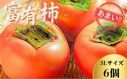 【先行予約】Farm m&aの富有柿 3L×6個 秀品 岐阜県 大野町（2025年11月下旬～発送）農家直送 果物 フルーツ 秋の味覚 柿 かき 富有 ふゆう