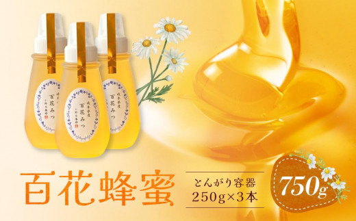 百花蜂蜜 750g（とんがり容器250g×3本）岐阜県産 国産 自慢の一品 ハチミツ 無添加 純粋はちみつ ハニー【オノギ養蜂】