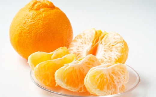 不知火(デコポン同品種)約5kg 果物 フルーツ 国産 熊本県 水俣市 【2026年2月上旬~4月上旬迄発送予定】